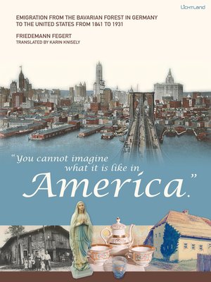 cover image of "You cannot imagine what it is like in America."